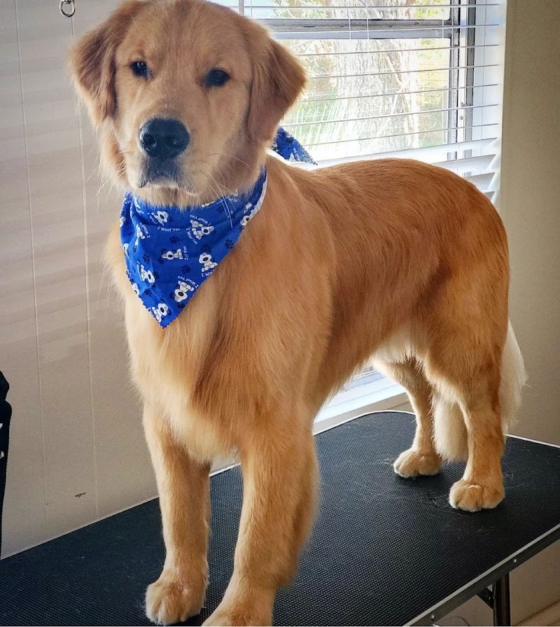 So Fetch Dog Grooming LLC