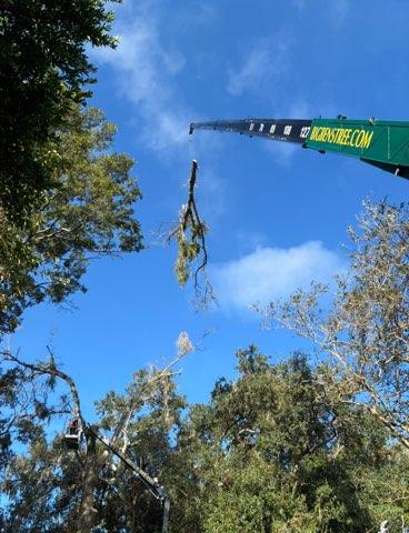 Big Ben's Tree Service, Inc