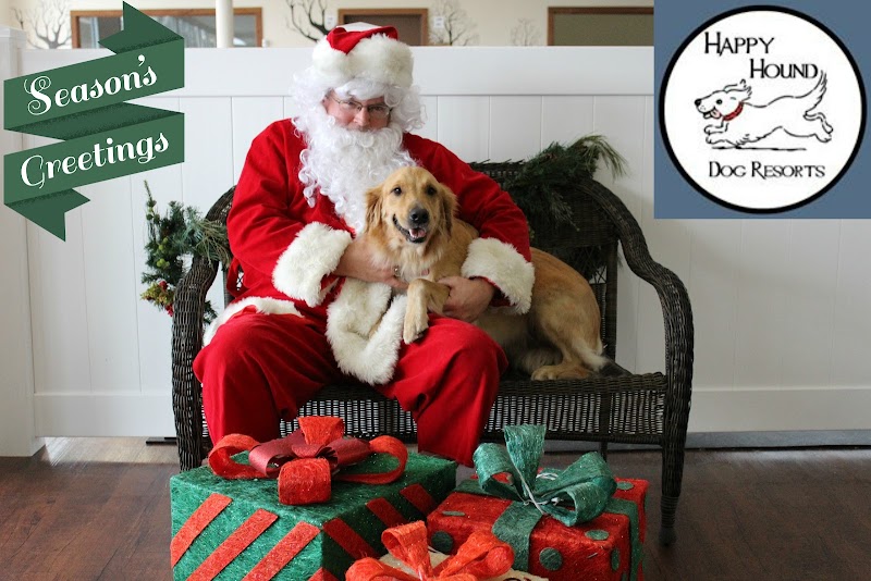 Happy Hound Dog Resorts