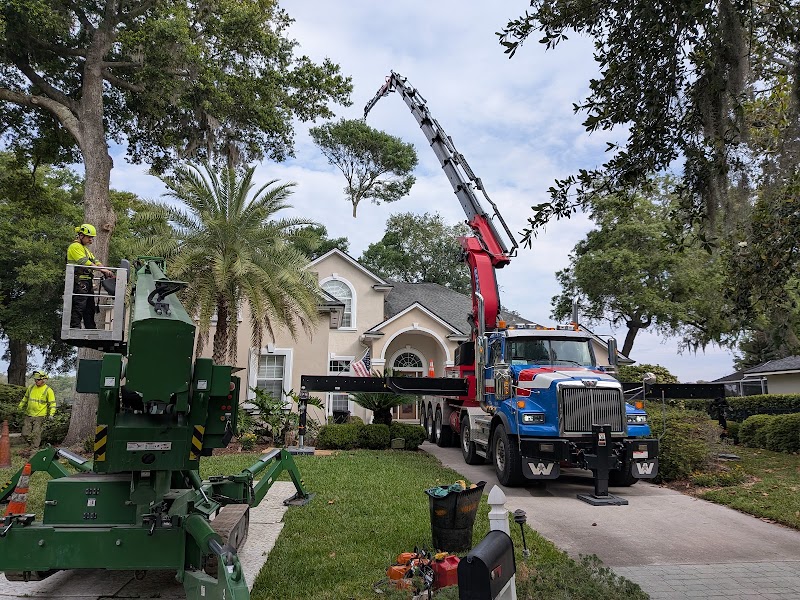 Jax Tree Removal LLC