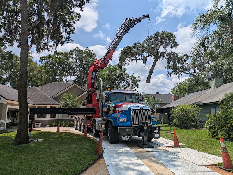 Jax Tree Removal LLC