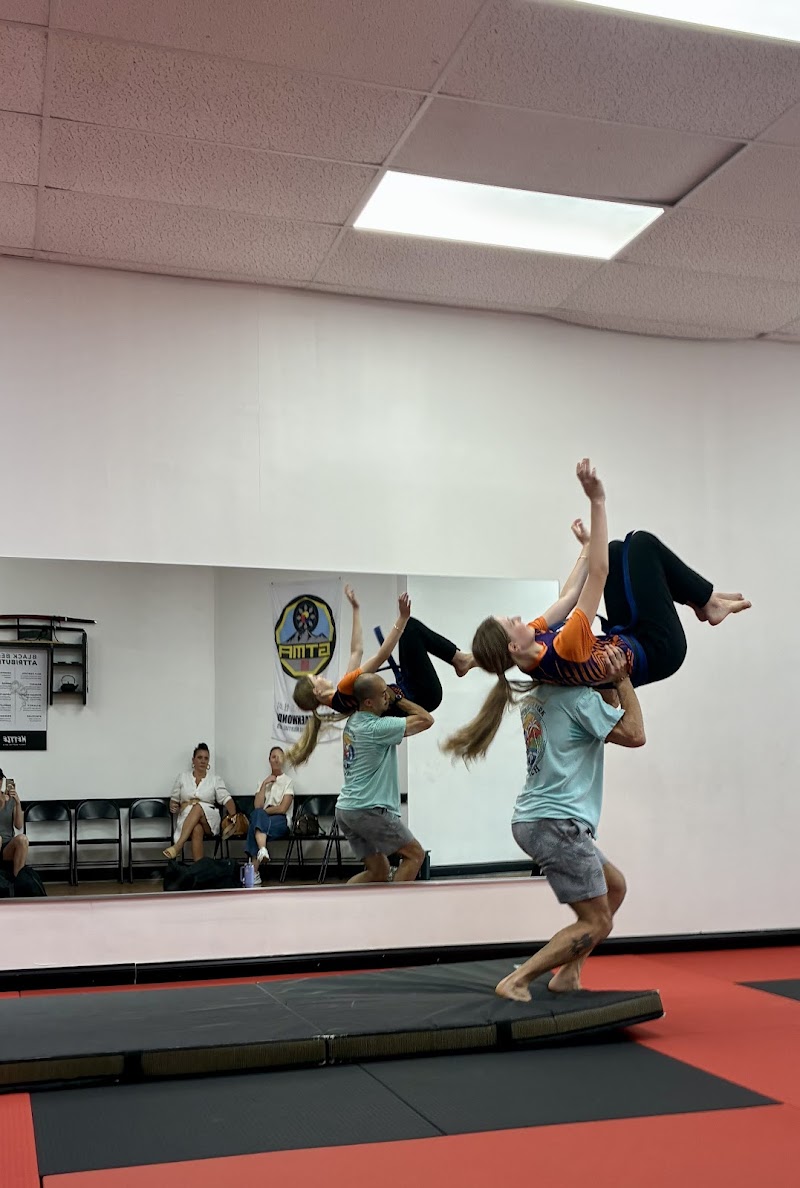 Mettle Family Martial Arts