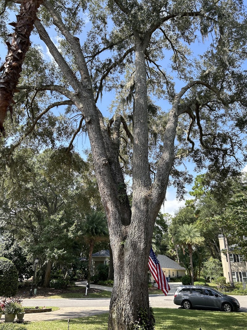 Forshee's Tree Service