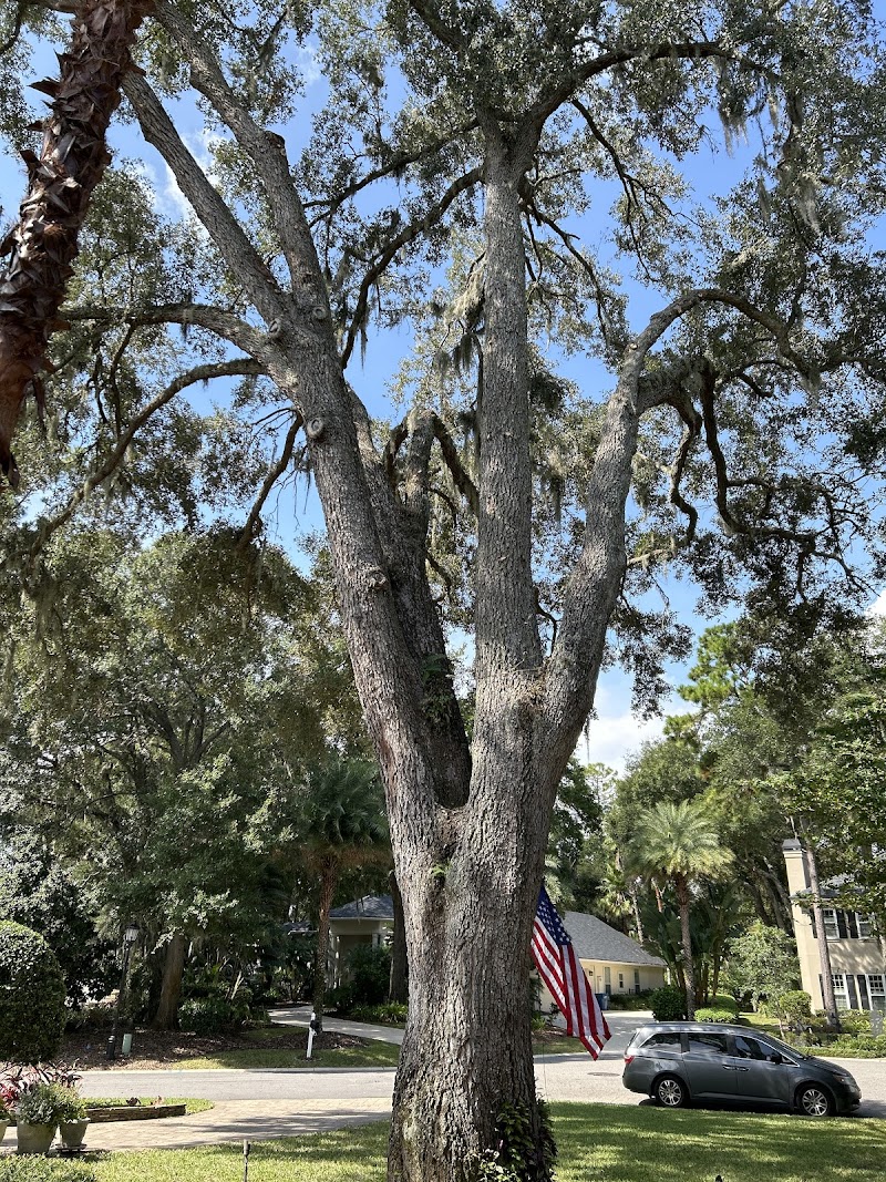 Forshee's Tree Service