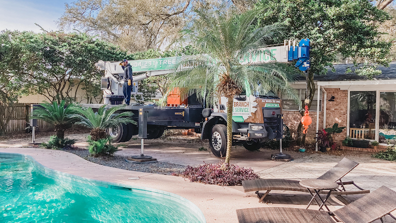 Big Branch Tree Service