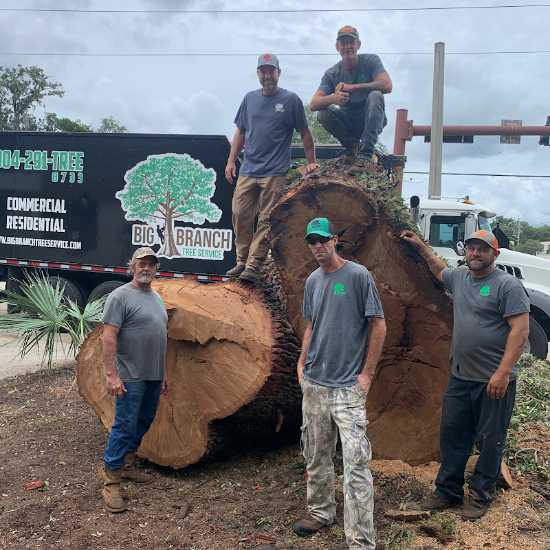 Big Branch Tree Service
