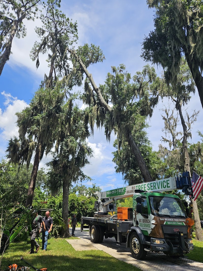 Big Branch Tree Service