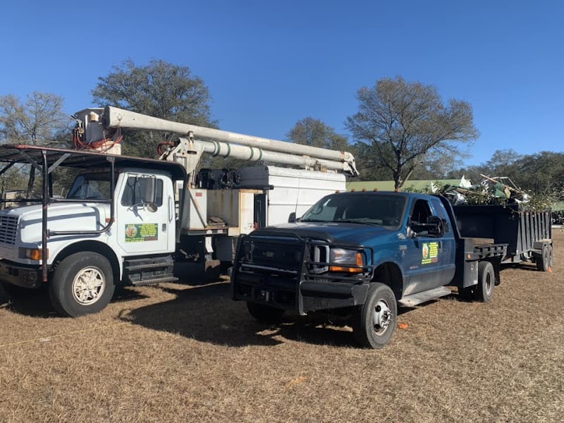 A&A Tree Care