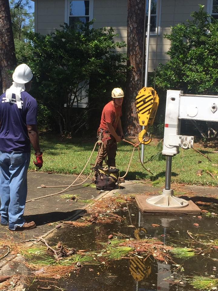Hamilton Tree Service