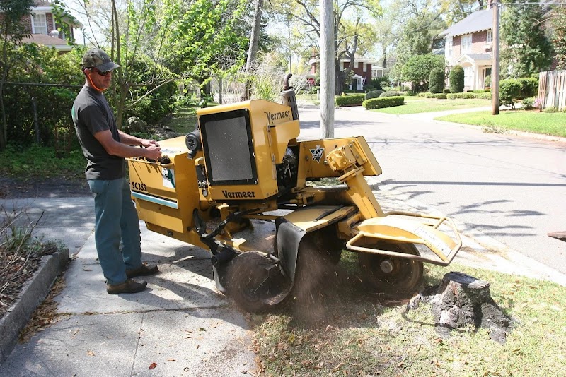 Hamilton Tree Service