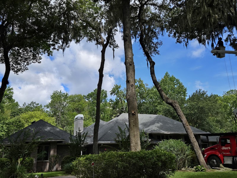 Shaw's Tree Service