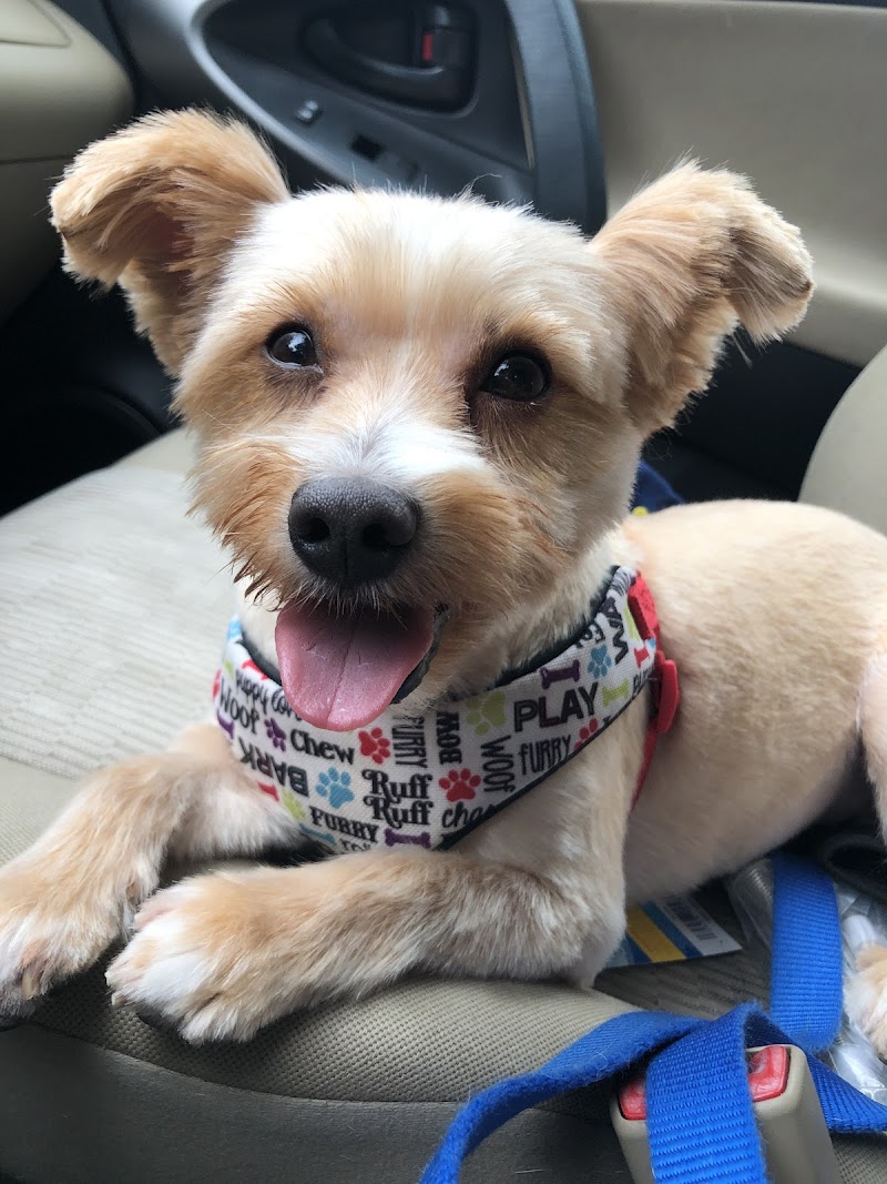 Caren's Grooming Salon