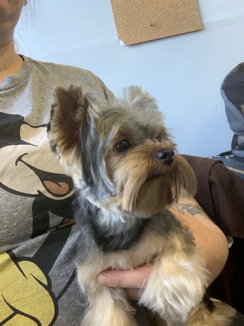 Caren's Grooming Salon