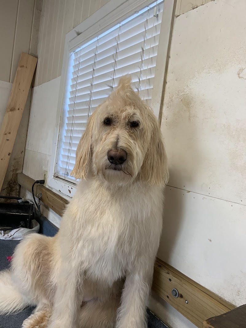 Caren's Grooming Salon
