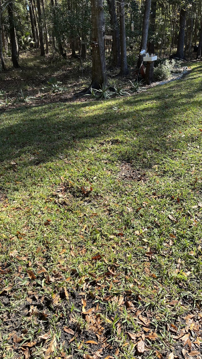 McCall Pest & Wildlife - Jacksonville