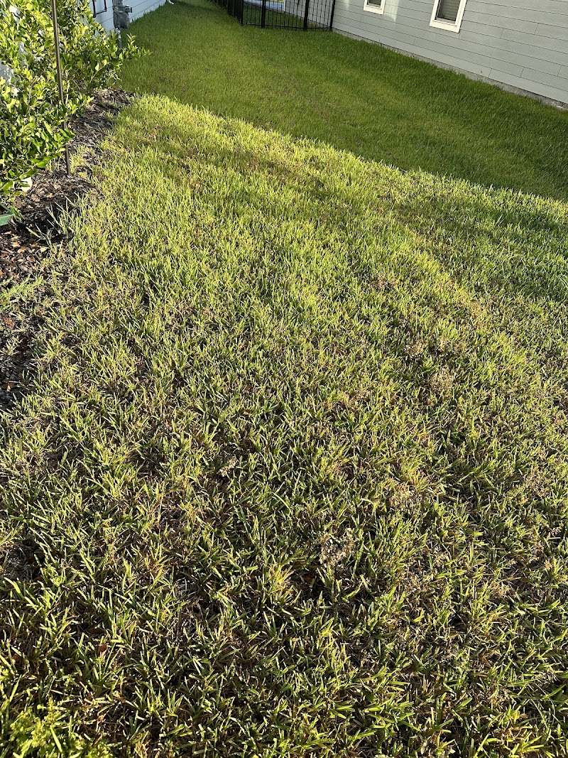 McCall Pest & Wildlife - Jacksonville