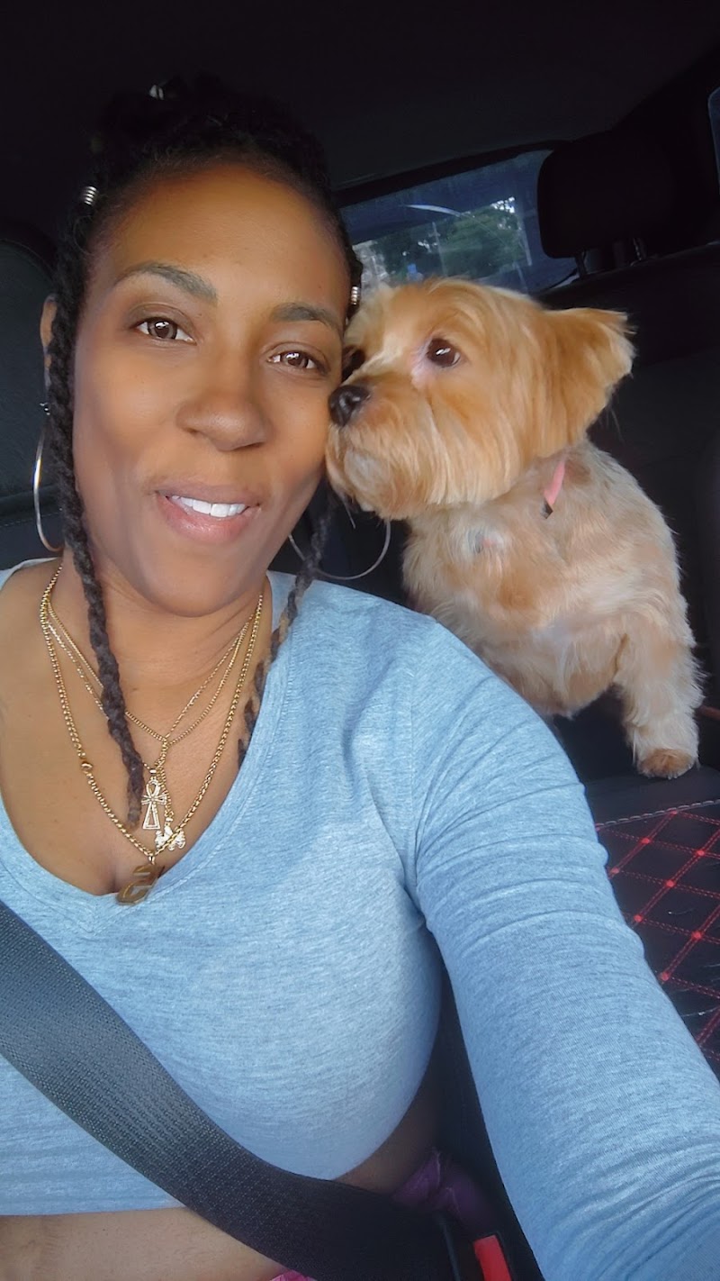 Precious Angels Dog Grooming, LLC