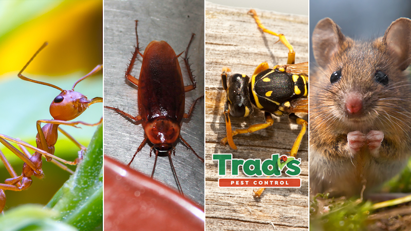 Trad's Pest Control