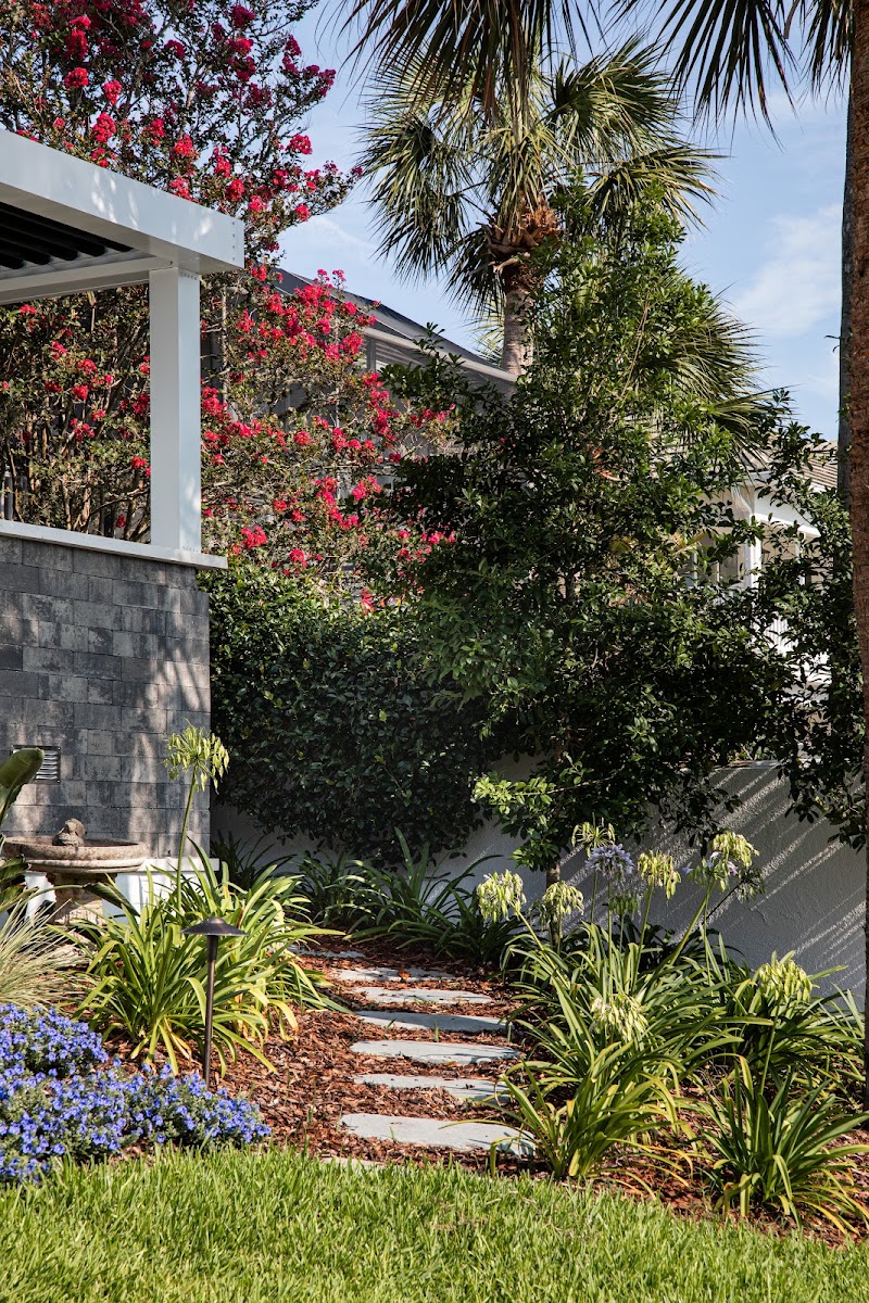 Blooms Design Studio