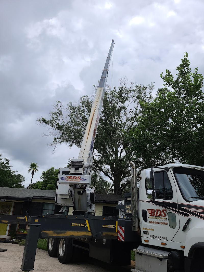 Russell Tree Care