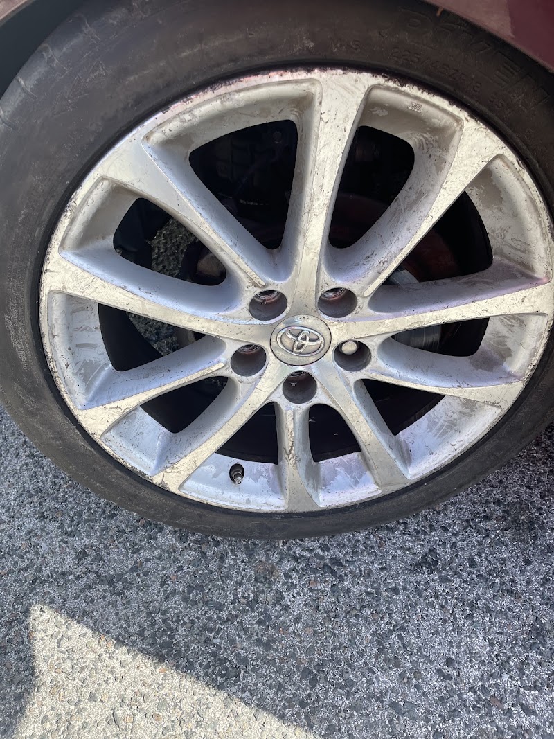 Steve's Tire Empire