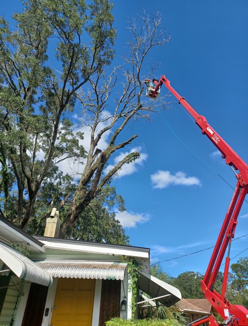 American Tree Solutions