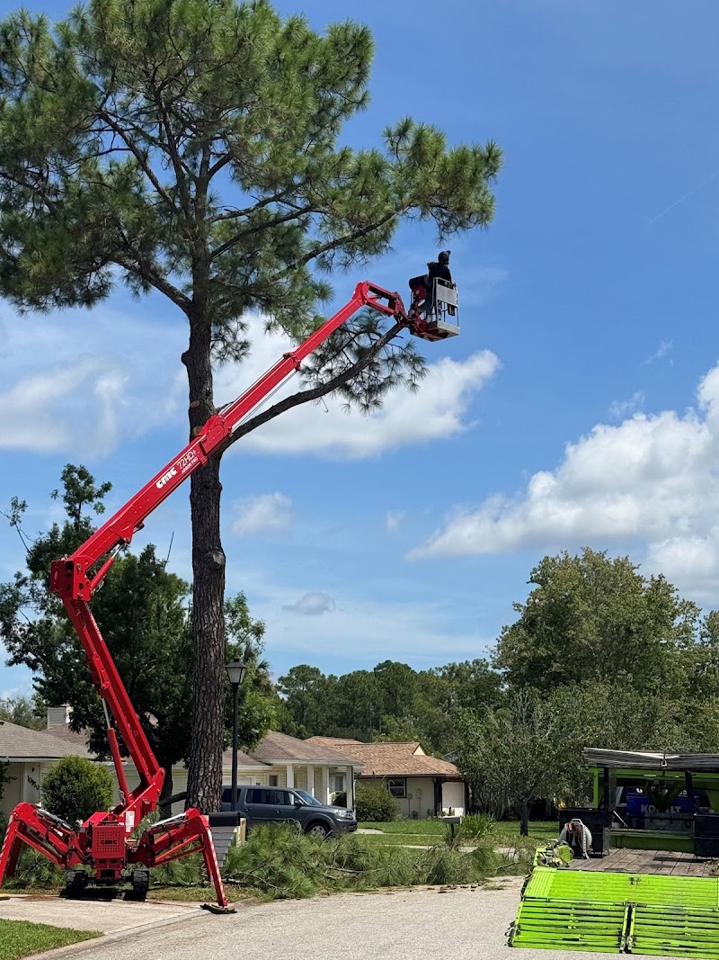 American Tree Solutions