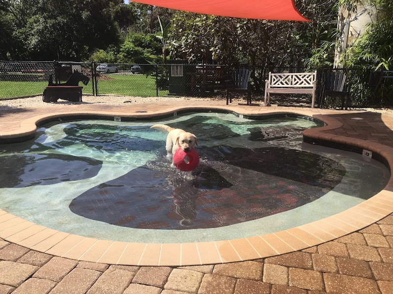 Julington Creek Animal Walk