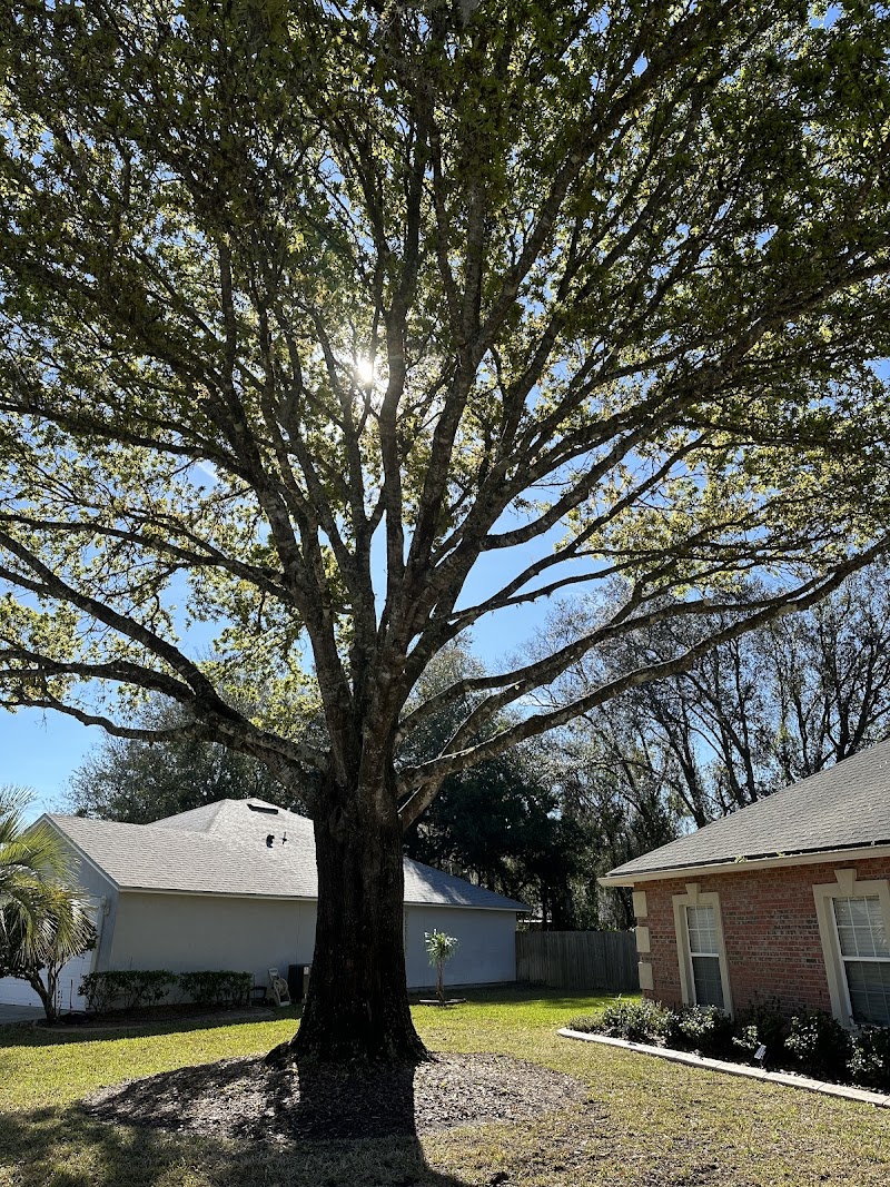 Sanford's Tree Service Inc.