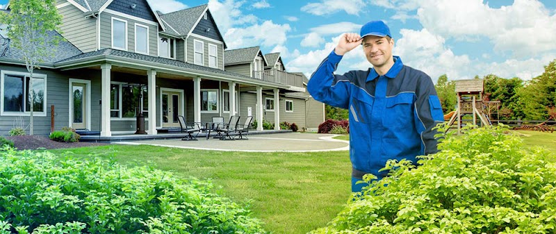 KNOCKOUT Pest Control Jacksonville