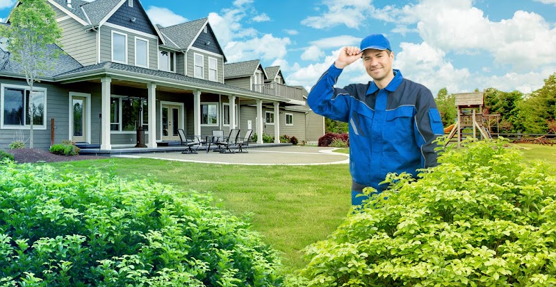 KNOCKOUT Pest Control Jacksonville