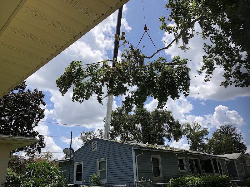 Genesis Tree Care