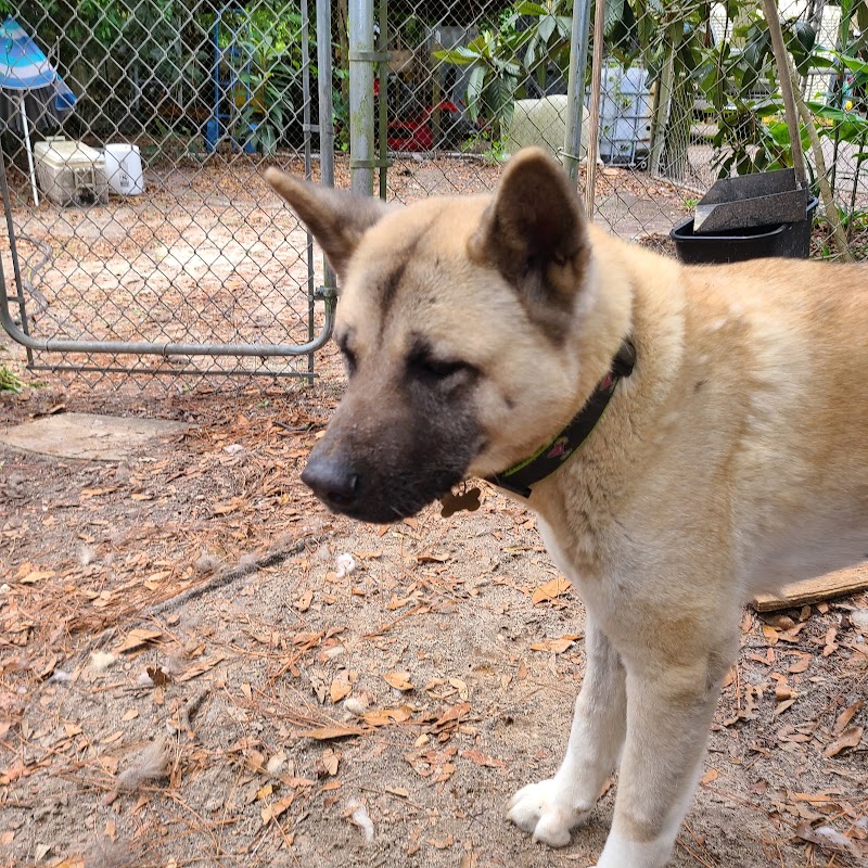 Emerson Kennels