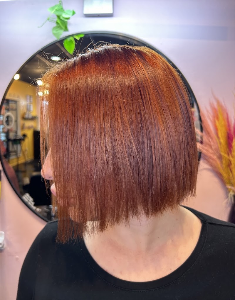 Tiger lilly Salon