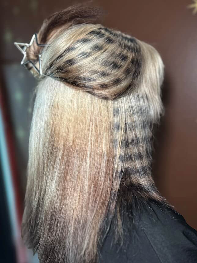 Tiger lilly Salon