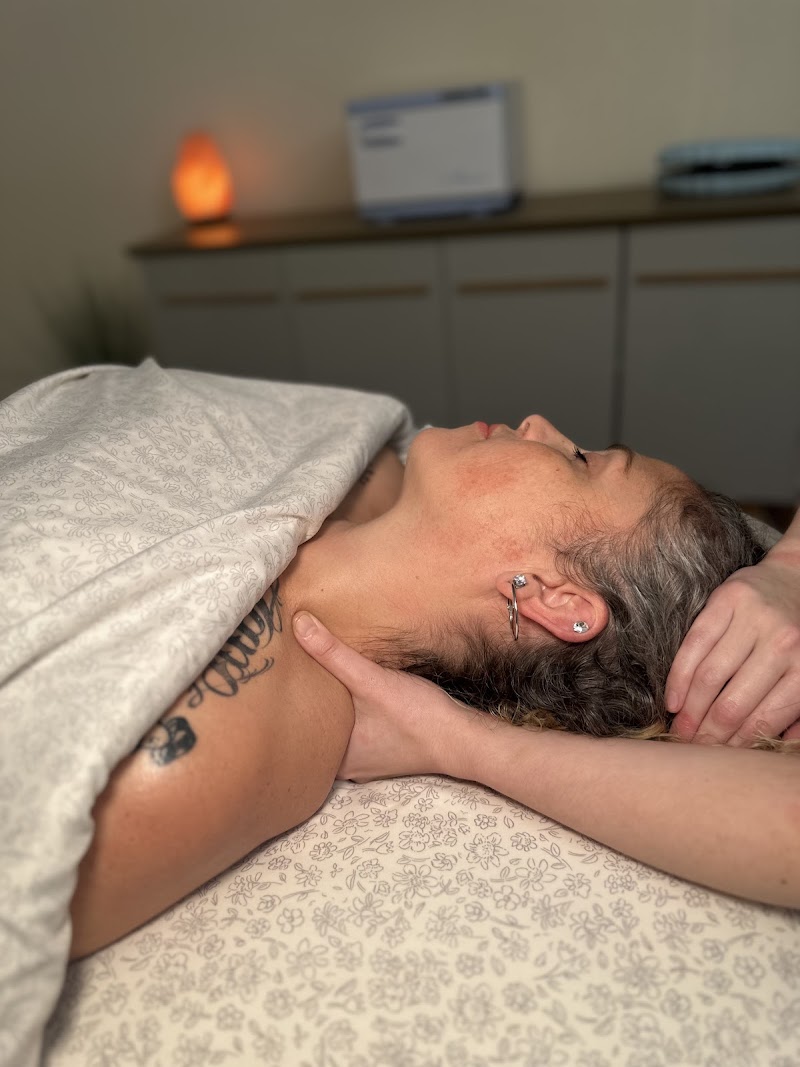 The Wellness Hub
