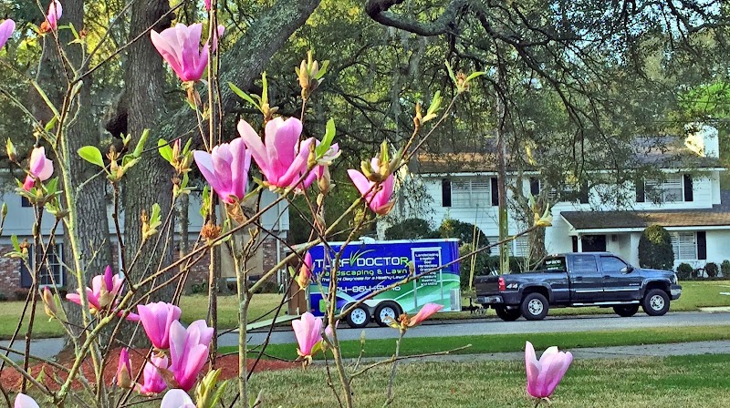 Turf Doctor Landscaping & Lawn , LLC