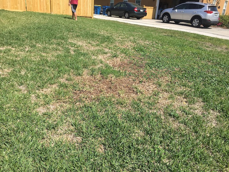 Turner Pest Control