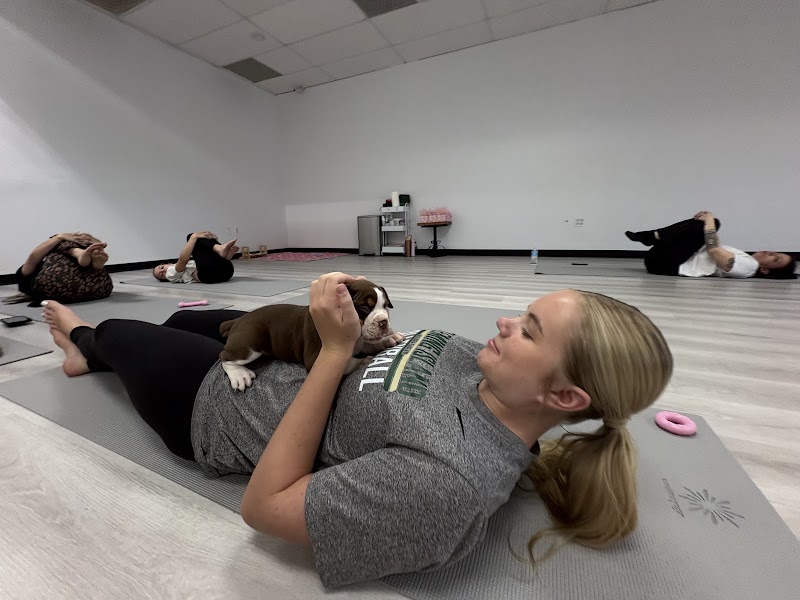 Puppy Yoga Jacksonville (Puppies Yoga)
