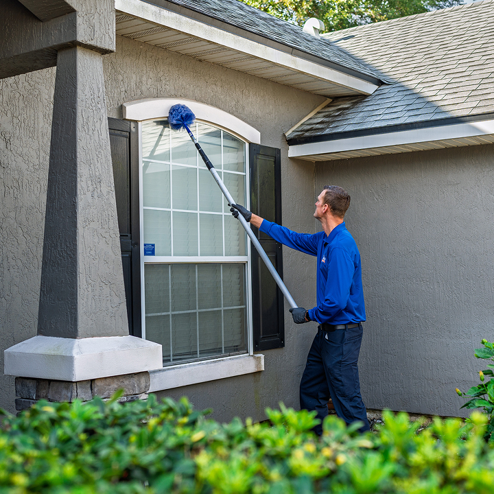 Lindsey Pest Services