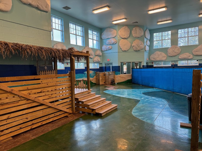 Coastal Doggie Daycare