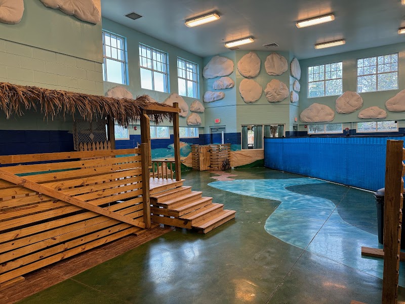 Coastal Doggie Daycare
