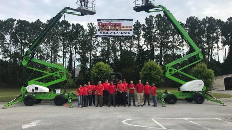 Custom Tree Surgeons
