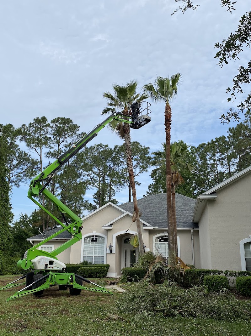 Custom Tree Surgeons