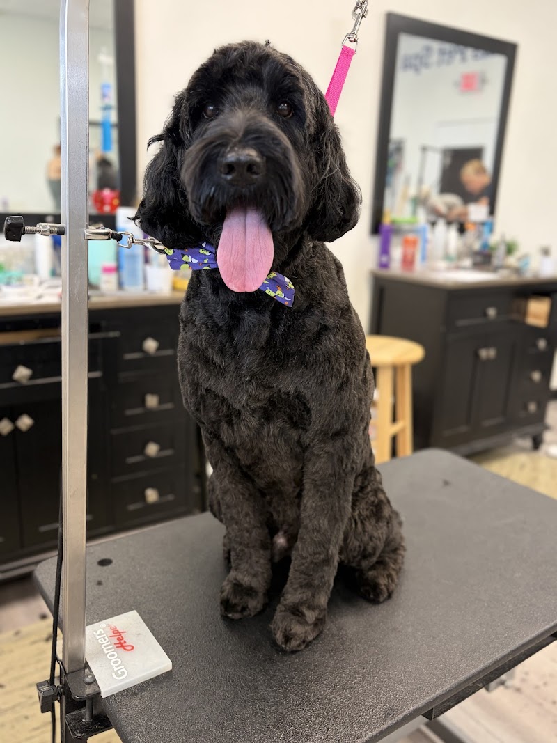 All Tails Pet Spa