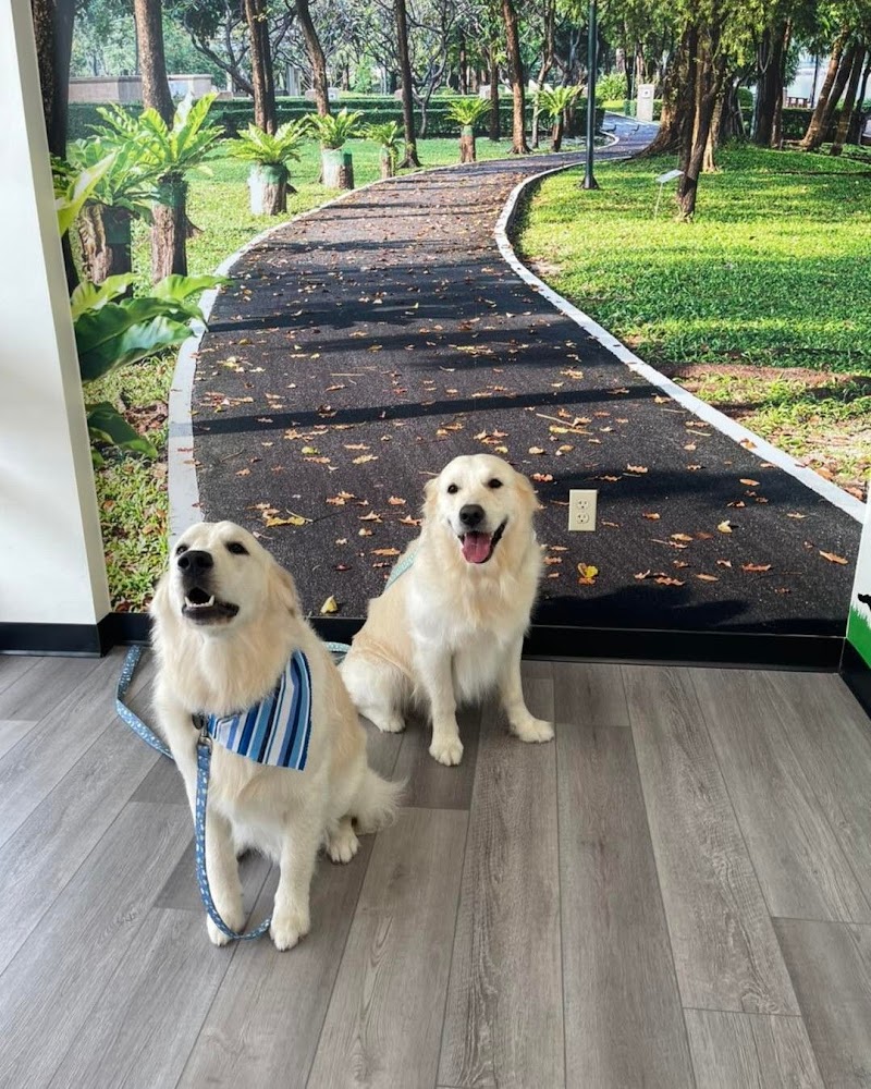 All Tails Pet Spa