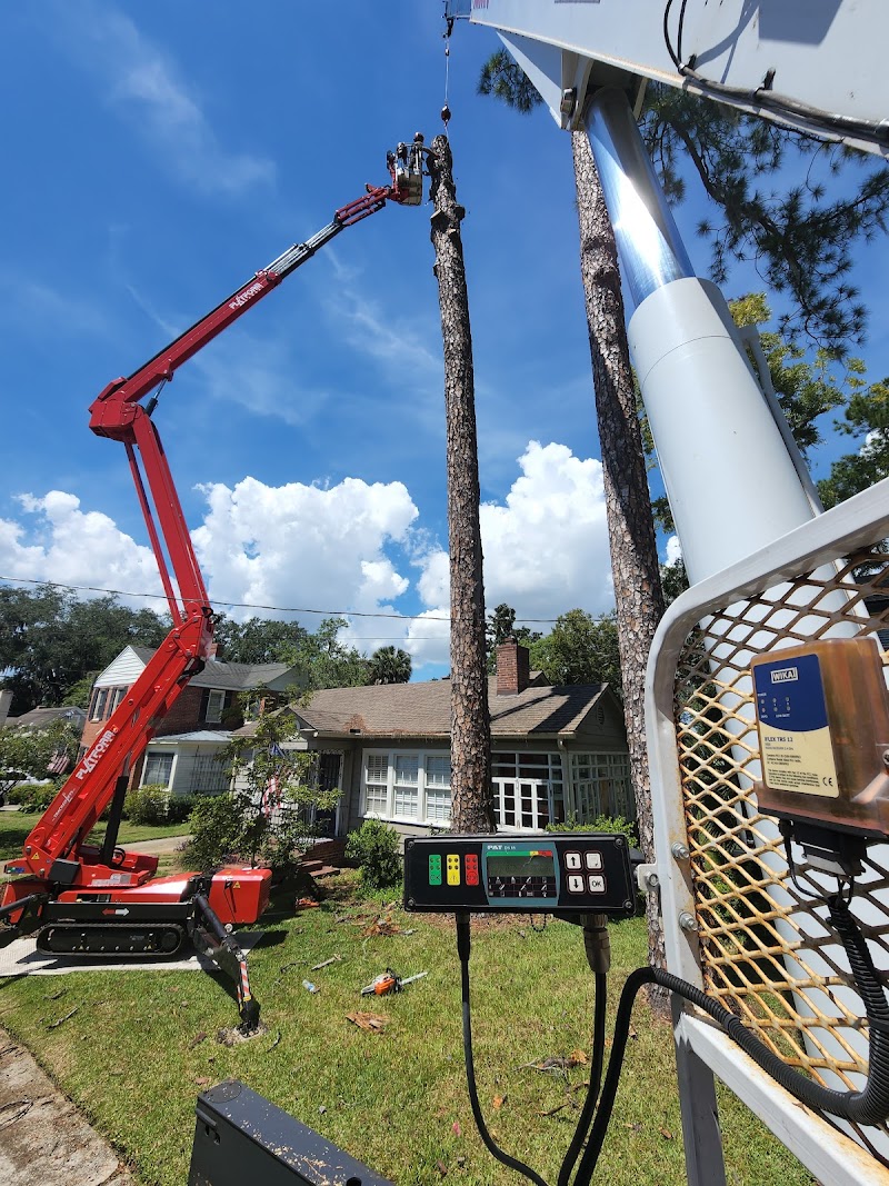 Bushor's Tree Surgeons