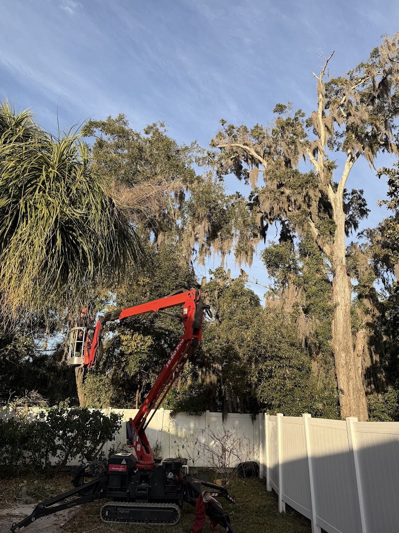 Bushor's Tree Surgeons