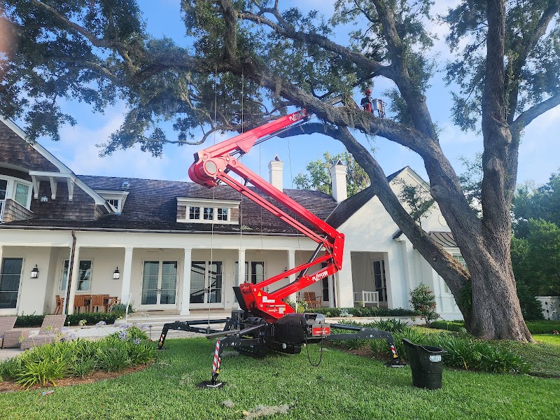 Bushor's Tree Surgeons