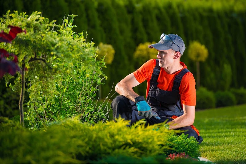 Sunshine Landscaping | Lawn Care Service | Residential and Commercial